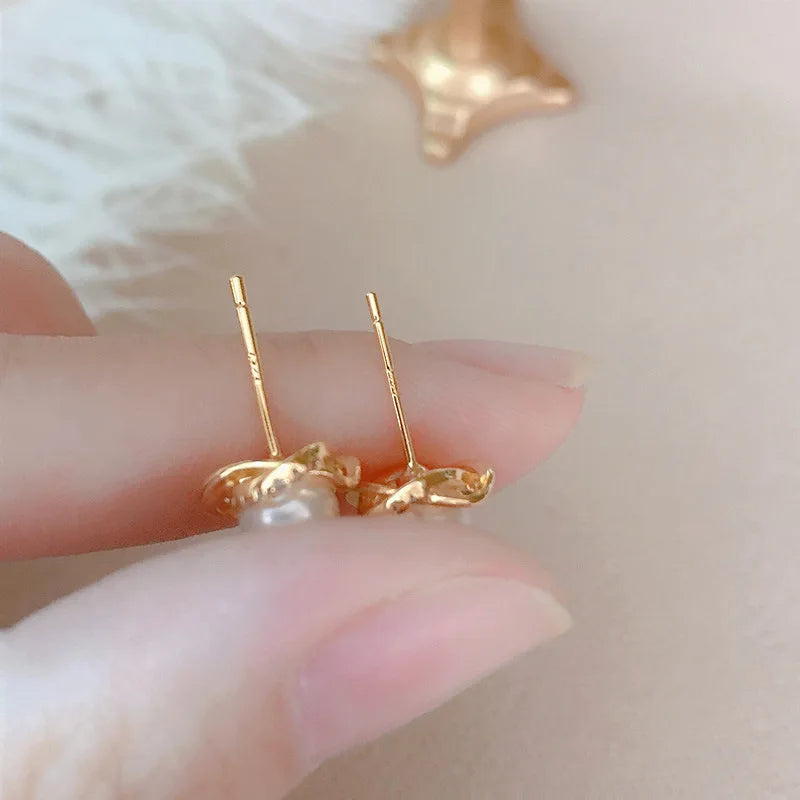 Boucles d'Oreilles Puces Rondes Argentées